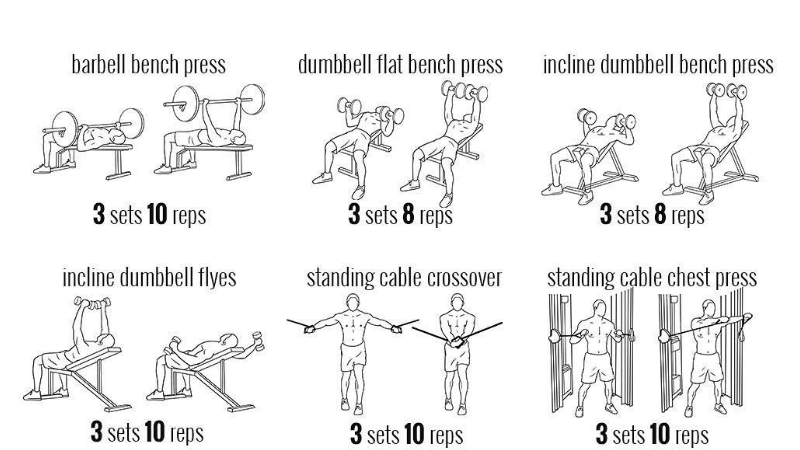 How Bench Angles Shape the Best Chest Workout Using Dumbbells