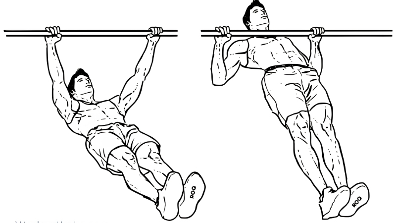 How to Choose a Door Pull Up Bar