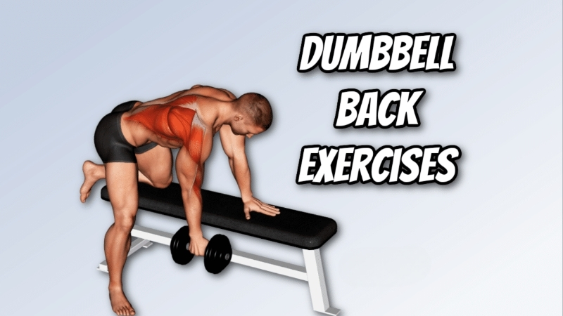 How to Choose the Best Workout Dumbbells for Your Room