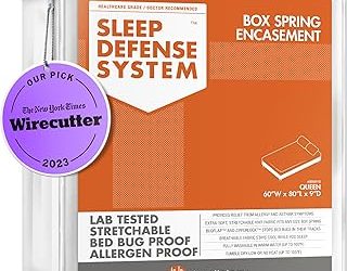 Best Bed Bug Box Spring Encasement (2026)