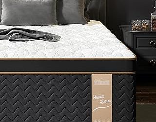 Best Firm Mattress With Pillowtop (2026)