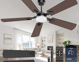 Best Indoor Ceiling Fans With Light (2026)