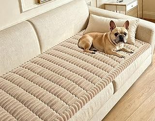 6 Best Non Slip Covers For Leather Sofa (2026)