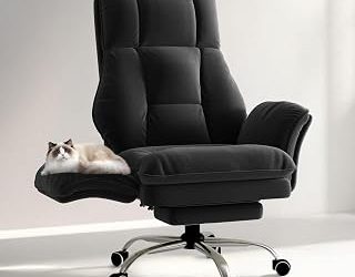 Best Office Chair That Reclines (2026)