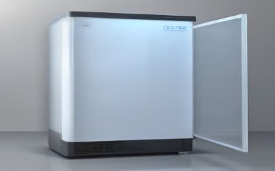 Best Refrigerator With Ice Maker And Water Dispenser (2026)