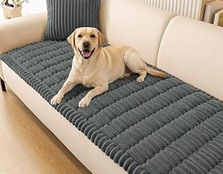 Best Sofa Covers For Dogs (2026)
