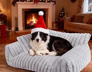 Best Sofa Pets (2026)