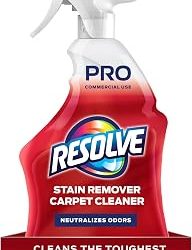 Best Spot Carpet Cleaner Solution (2026)