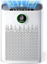 Best Voc Air Purifier (2026)