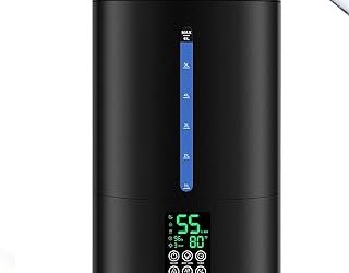 Best Warm Air Room Humidifier (2026)
