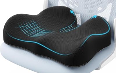 Ergonomic Chair Cushion vs. Full Ergonomic Chair: Is it Enough?