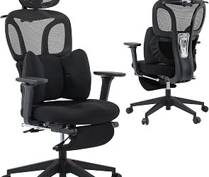 Ergonomic Office Chair for Petite Users: Top Picks Under $250