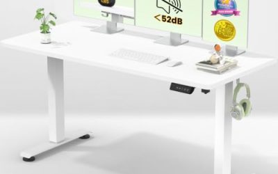 Review: The Top 5 Adjustable Height Desks for Home Offices