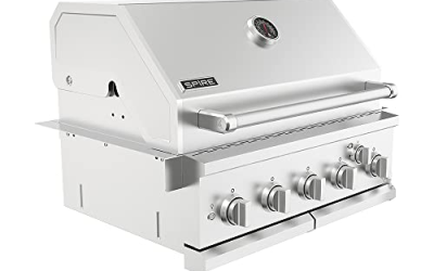 8 Best Built-sIn Gas Grills for Outdoor Kitchen Renovations