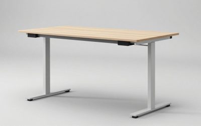 4 Leg Standing Desk