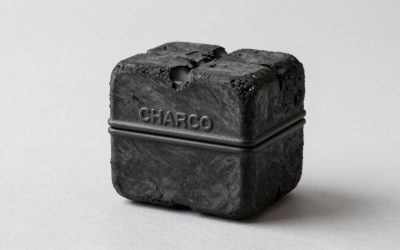 Best Charcoal Smokers for Backyard Cooking
