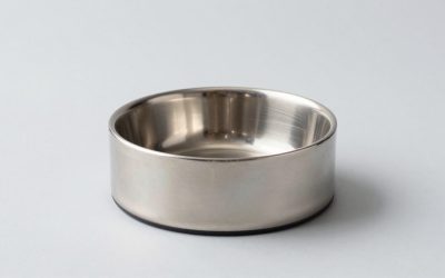 Best Elevated Dog Bowls for Large Dogs