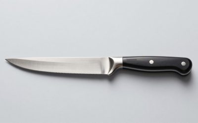 Best Fillet Knives for Fish and Game