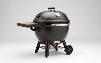 Best Kamado Grills for Beginners