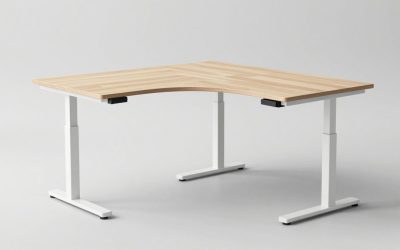 Best L Shaped Standing Desk Reddit