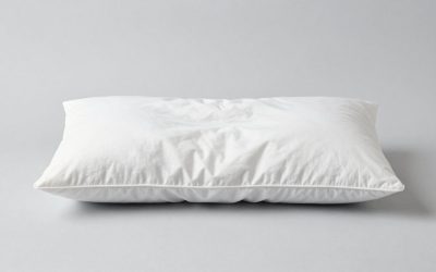 Best Lumbar Pillow for Chair