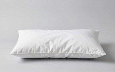Best Lumbar Pillow for Desk Chair