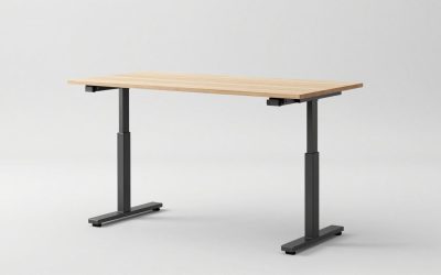 Best Manual Standing Desk Reddit