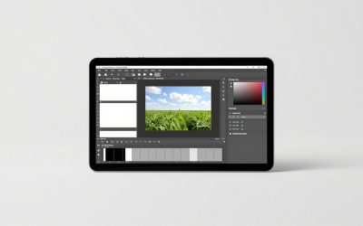 Best PDF Editors for Home and Office Work