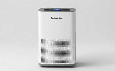 Best Perfect Aire Dehumidifier: Four Listings, Three Model Numbers and How to Choose