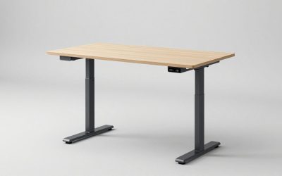Best Sit Stand Desk for Short Person