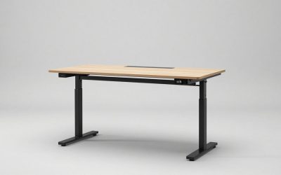 Best Work from Home Adjustable Desk