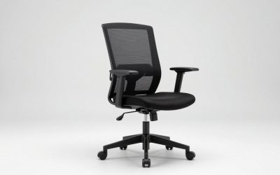 Choosing the Best Ergonomic Office Chair