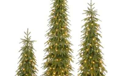 7 Christmas Tree Set (October 2026)