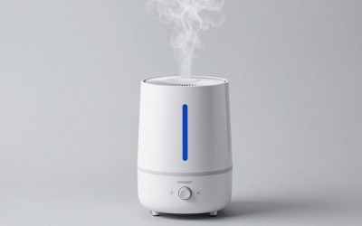 Cool Mist Humidifier for Congestion: 6 Picks by Room, Noise and Care