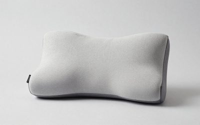 Cushion Lab Lumbar Pillow Review and 6 Back Support Rivals