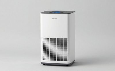 Dehumidifier for Condensation on Windows: When It Helps and When Ventilation or Insulation Wins