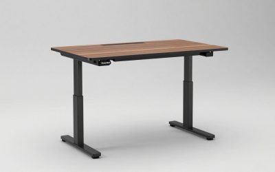 Essential Electric Standing Desk Split Top 48X24