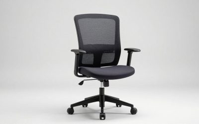 Eurotech Vera Mesh Back Ergonomic Chair Review