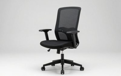Eurotech Vera Mesh Back Ergonomic Chair Review: Fit, Support and Build
