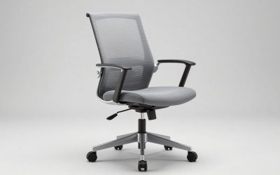 Herman Miller Lumbar Support Chair Guide: PostureFit SL, Backfit and Which Model Fits Your Back