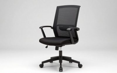 Office Chair With Back Support and Adjustable Arms: 1D to 4D Armrests, Lumbar Types and Short-User Fit