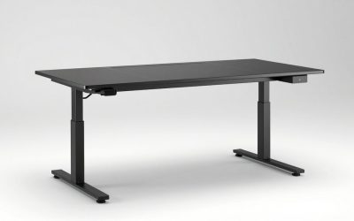 Secretlab Magnus Pro Sit to Stand Metal Desk Review: Features and Setup