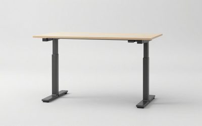 Sit Stand Desk Legs
